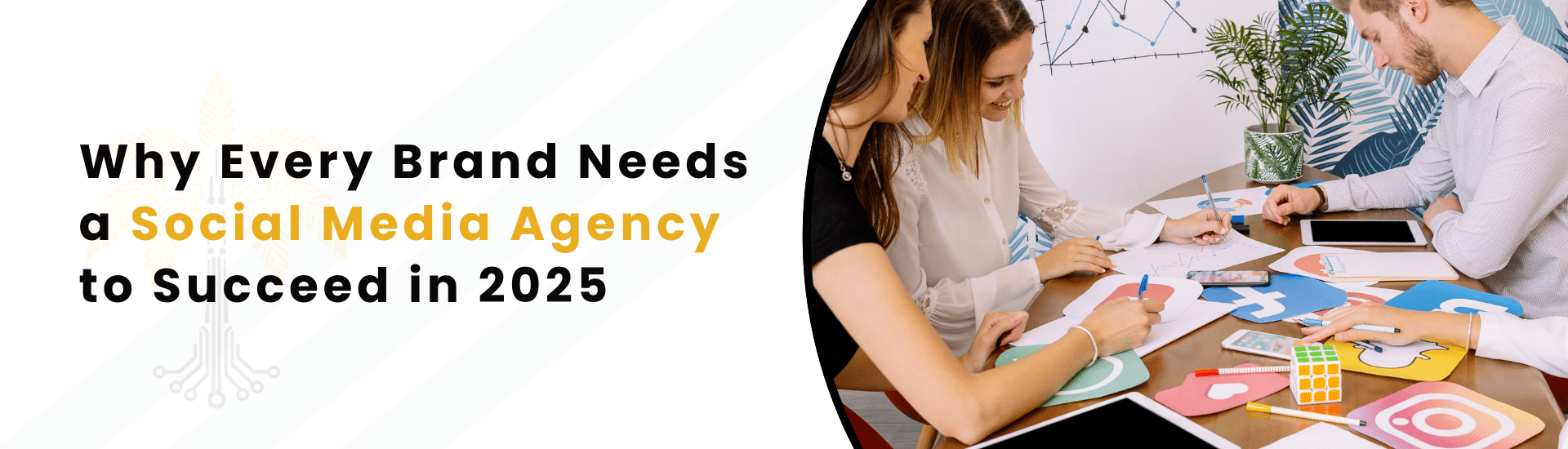 Why Every Brand Needs a Social Media Agency to Succeed in 2025