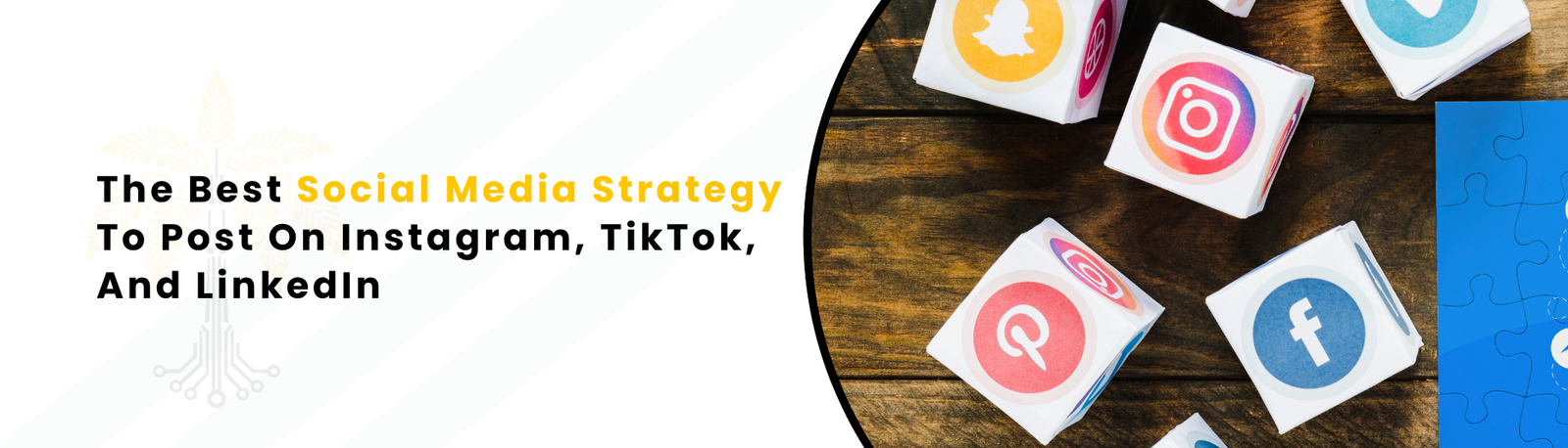 The Best Social Media Strategy To Post On Instagram, TikTok, And LinkedIn
