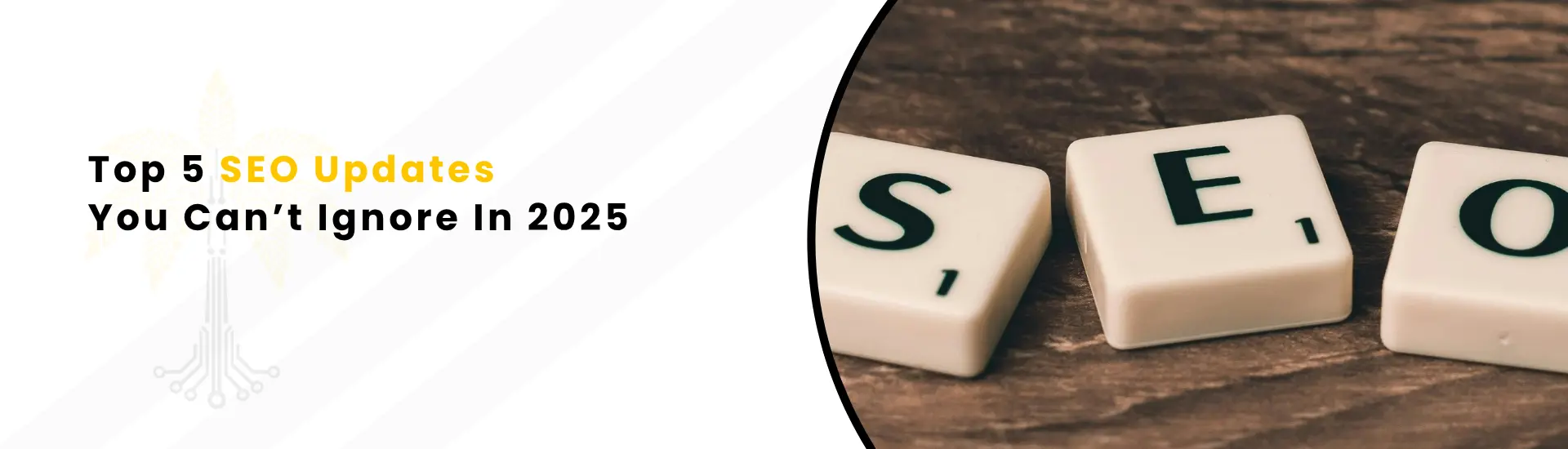 An Image text "Top 5 SEO Updates You Can’t Ignore In 2025"