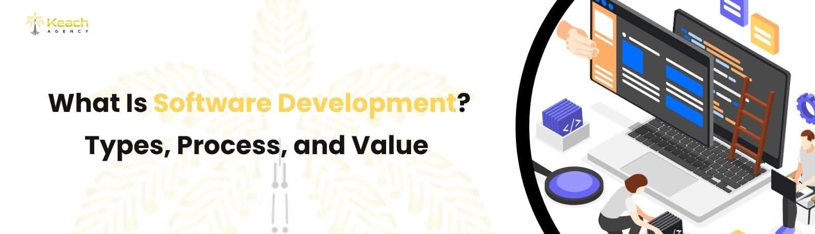 What Is Software Development Types, Process, and Value
