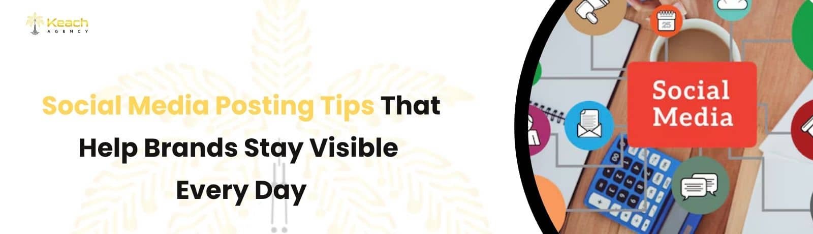 Social Media Posting Tips for Brands That Want Daily Visibility
