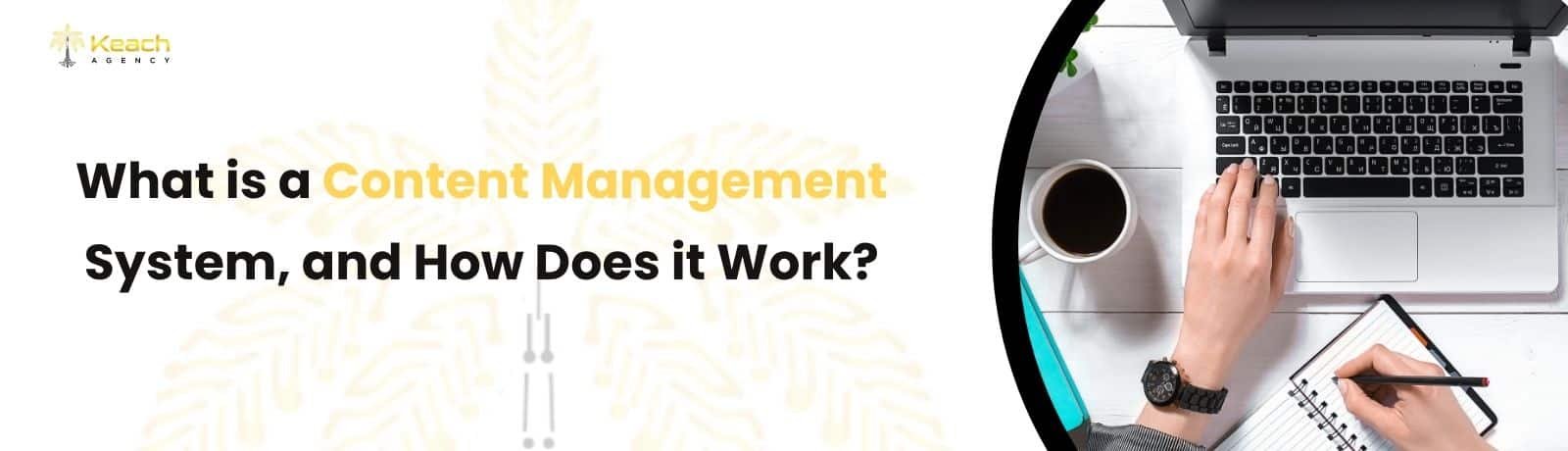 What is a Content Management System, and How Does it Work